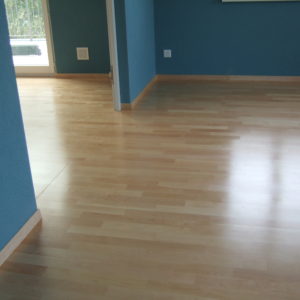 050_010_0991-300x300