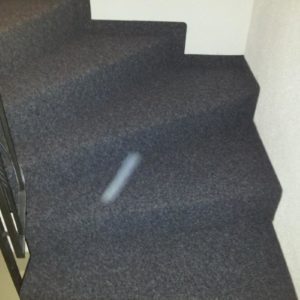 140_020_0985-1-300x300